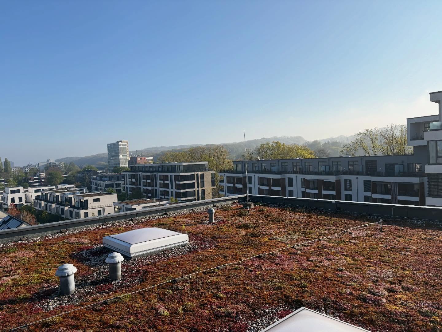 Nahansicht eines begrünten Dachs im selben Wohnquartier